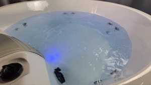 Canadian Spa Okanagan 4-Person 10-Jet Portable Hot Tub