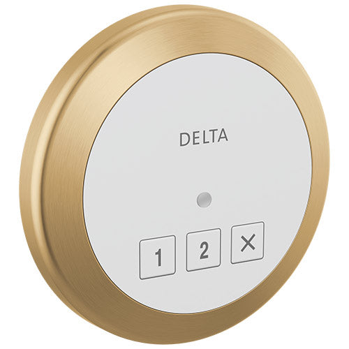 Delta Round Exterior Steam Control 5CN-220R | Empire Saunas