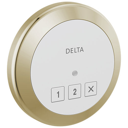 Delta Round Exterior Steam Control 5CN-220R | Empire Saunas