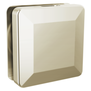 Delta SimpleSteam Square Steam Head RP103306 | Empire Saunas