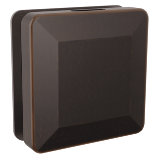 Delta SimpleSteam Square Steam Head RP103306 | Empire Saunas