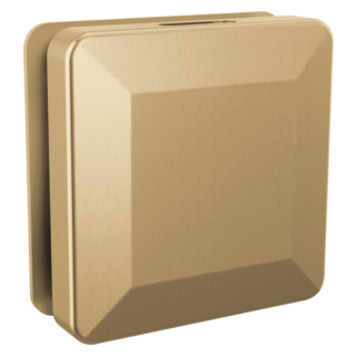 Delta SimpleSteam Square Steam Head RP103306 | Empire Saunas