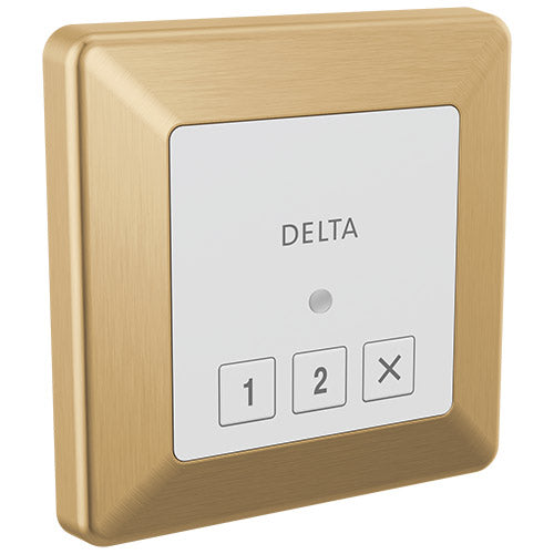 Delta Square Exterior Steam Control 5CN-220T | Empire Saunas