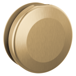 Delta SteamScape Classic Round Steam Head RP103308 | Empire Saunas