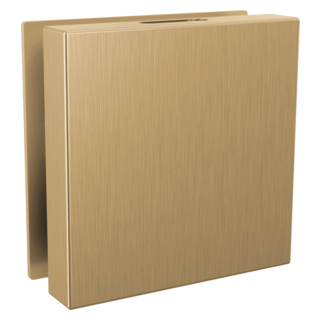 Delta SteamScape Deluxe Square Steam Head RP103310 | Empire Saunas