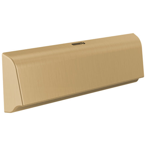 Delta SteamScape Deluxe Unilateral Steam Head RP103311 | Empire Saunas