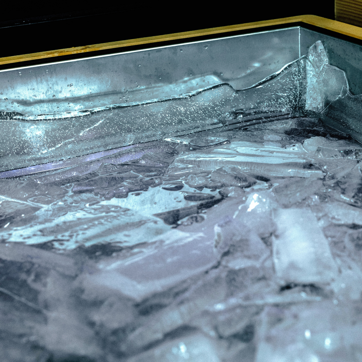 Revive Fully Insulated Luxury Plunge Tub | Empire Saunas