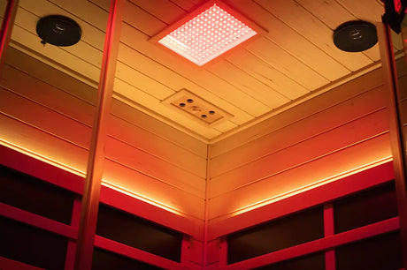 Wizzisaunas 2-3 Person Full Spectrum Low EMF Infrared | Empire Saunas